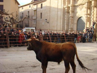 FOTO: Jes�s Villalba